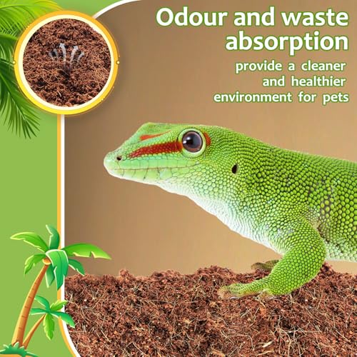 Riare 1 Pack Natural Coconut Fiber Substrate, Coco Coir Reptile Substrate | Coconut Husk Reptile Bedding for Tortoises, Snakes, Geckos, Bearded Dragons & Hermit Crabs, Enclosures & Terrarium Setups - color: 1 pack