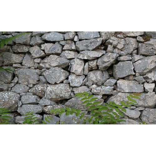 Rock Wall Aquarium Background Natural Stone Fish Tank Background Rocky Glass Stone Wall Green Plants Aquarium Backgrounds Rocky Stones Walls Reptile Tank Enclosure Backgrounds Wallpaper 24x12in - color: Grey, size: 24(W)x12(H)inches/ 60(W)*30cm(H)