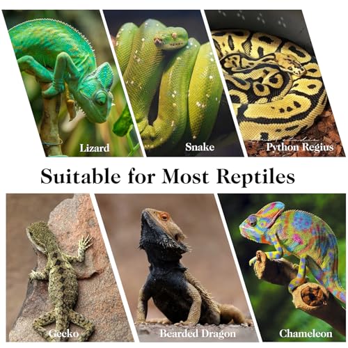 VCEPJH 2 Pack Reptile Wood Branches, Snake Climbing Branch Natural Bearded Dragon Log Tank Accessories Tree Trunk for Chameleon Gecko Snake Frog Spider - size: Pomegranate Wood (L:13.7"-15.7"-2pcs)