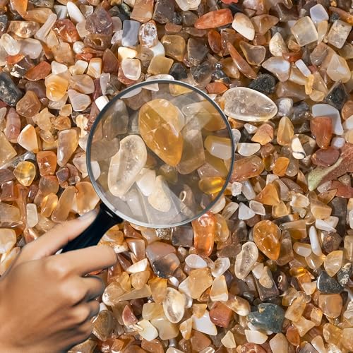 Carnelian Crystal Chips Bulk 1lb, 1200+ Pieces, 5-8mm Natural Gemstones - color: Carnelian, size: 1LB