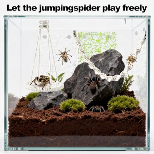 5 PCS Jumping Spider Rope Bridge Swings Set，Jumping Spider Webbed Moss Ribbon Tarantula Enclosure Accessories Natural Cotton Rope Handmade Pet Tiny Animals Enclosure Decorations - size: Style A