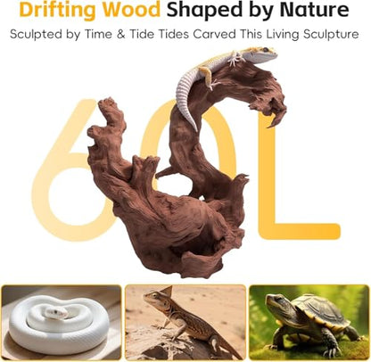 EFFIELER Natural Driftwood for Aquarium Decor – Unique Size Real Wood Branches for Fish Tank, Reptile Habitat, Terrarium, Hermit Crab, Shrimp Tank (11-14 INCH 2-Pack, Mopani Driftwood) | Aquarium & Terrarium Compatible Unique Organic Shapes - size: 11-14