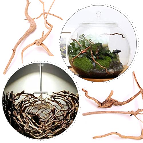 5 Pcs Aquarium Driftwoods Natural Driftwood Fish Tank Decorations Solid Reptile Wood Branches for Fish Tank Small Fish Hiding