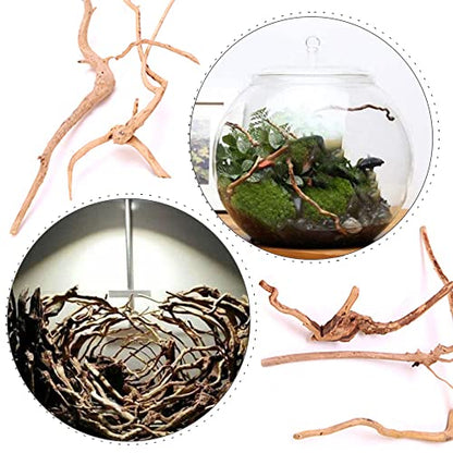 5 Pcs Aquarium Driftwoods Natural Driftwood Fish Tank Decorations Solid Reptile Wood Branches for Fish Tank Small Fish Hiding