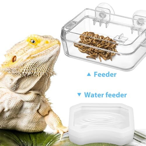 HEMOTON 2pcs Reptile Feeding Bowl for Bearded Dragon and Snakes, Plastic Escape Proof Feeder Dish with High Hardness and Smooth Surface, Suitable for Feeding and Watering