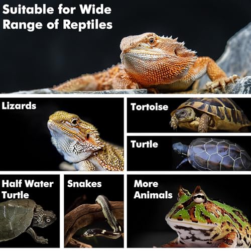 Reptile Heat Lamp, 100W Heat Lamp Bulbs for Reptiles 2 Pack, Amphibians Basking Heat Lamp Bulbs, UVA Daylight Basking Light for Reptiles, Bearded Dragon, Lizard, Turtle, Chicken