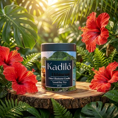 Kadilo™ Odor Eliminator Candle, 17 Oz Each Jar Natural Soy Wax, 3 Cotton Wicks, Highly Fragranced, 300 Hours Burn Time, Metal Jar, Set of 3 Different Flavors
