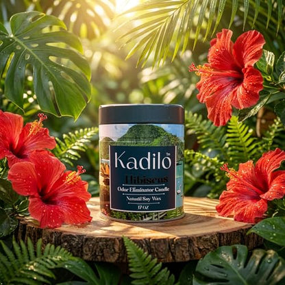 Kadilo™ Odor Eliminator Candle, 17 Oz Each Jar Natural Soy Wax, 3 Cotton Wicks, Highly Fragranced, 300 Hours Burn Time, Metal Jar, Set of 3 Different Flavors