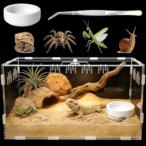 Acrylic Reptile Terrarium, Tarantula Enclosure(Tweezers & Bowl Included) | Reptile Tank with Magnetic Door for Spiders, Mantis, Frogs, Snails & Isopods, 11.4"x7.8"x5.9"