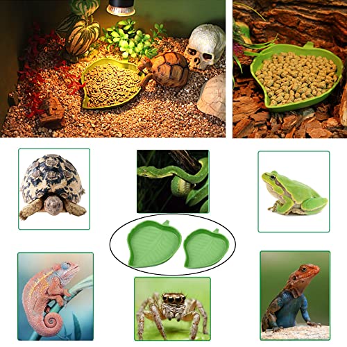 3PCS Tortoise Water Bowl with Ramp Leaf Tortoise Water Food Dish Turtle Pool Tortoise Bathing Pool Reptile Water Dish Large Soaking Dish Box Turtle Habitat Accessories