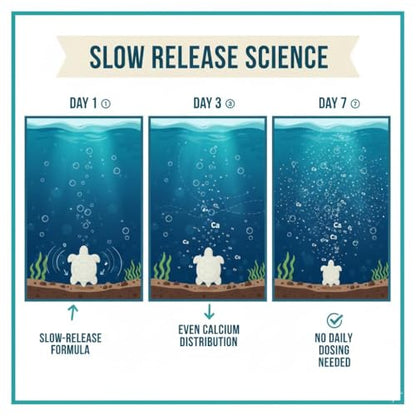 Shellstrong Premium Calcium Block for Aquatic Turtle - Slow Release Water Tank Conditioner - Cuttlebone for Aquarium - Turtle Tank Accessories - 20 Gallon Aquatic Treatment (5 Calcium Blocks) - size: 5 Calcium Blocks