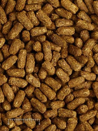 Mazuri Tortoise LS - Large Pellet | 25 Pound (25 lb.) Bag