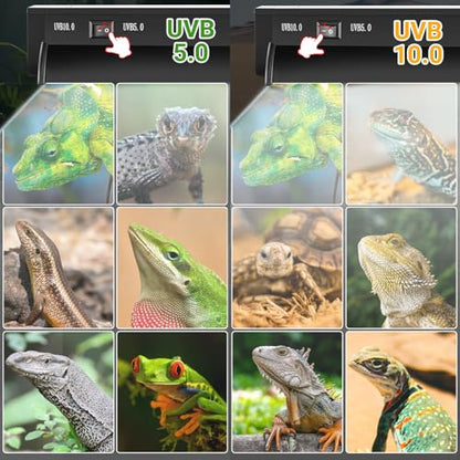 Switchable UVB Light for Reptiles, 24W T5 UVB Light Combo Kit for Tropical 5.0 & Desert 10.0, 22.6" Terrarium Hood Lamp Fixture with UVB 10.0 Bulb for Bearded Dragon Gecko Snake Lizard Turtle - size: 24W-22.6IN