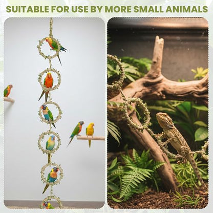 Snake Climbing Rings for Ball Python & Corn Snake, Reptile Toys | Enrichment Pet Toys & Tank Cage Decor, Habitat Accessories for Terrarium, Bearded Dragon, Chameleon, Lizard & Parrot