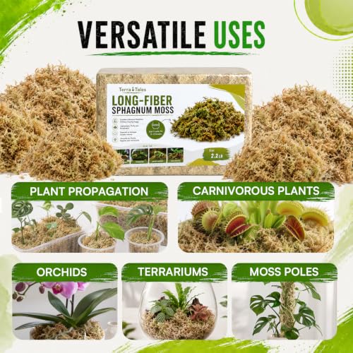 1.1LB Natural Long Fiber Sphagnum Moss Compressed Brick Expands to 30QT, Premium Orchid Moss for Repotting, Carnivorous Plants, Propagation, Moss Pole, Terrarium, Indoor Outdoor Gardening - size: 1.1LB