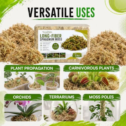 1.1LB Natural Long Fiber Sphagnum Moss Compressed Brick Expands to 30QT, Premium Orchid Moss for Repotting, Carnivorous Plants, Propagation, Moss Pole, Terrarium, Indoor Outdoor Gardening - size: 1.1LB