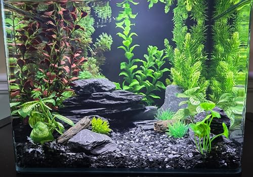 Natural Slate Stone 5 to 7 Inches - USA Sourced and Packaged for Aquascaping Aquariums, Terrariums, Paludariums, Reptile Enclosures, and Gardens (5lbs) - size: 5 lbs