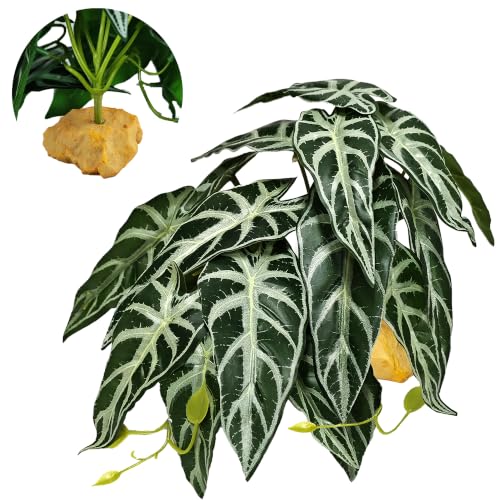Woyrise Reptile Plants for Terrarium Decor, Ball Python Tank Accessories fit Bearded Dragon Crested Leopard Gecko Lizard Chameleon Snake Frog Tortoise Hermit Crab - Fake Alocasia Black Velvet - color: E-fake Alocasia Black Velvet