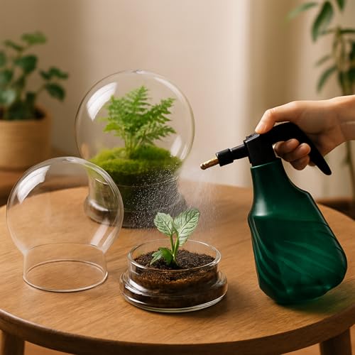 2 Pack Round Glass Cloche Domes with Air Hole and Base, 4.6 X 6.6 Inches Clear Terrarium Planter, Cloche Planters, Terrarium Bell Jar, Humidity Dome for Plants, Borosilicate Glass