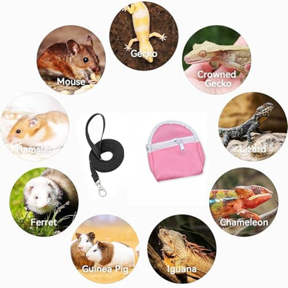 Leopard Gecko Backpack Carrier,Reptile Portable Backpack Carrier with Small Backpack Harness Leash Set,Space Capsule Clear Bubble Window Travel Backpack for Lizard Travel,Guinea Pig,Rabbit - color: Pink