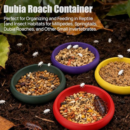 12-Pack Small Feeding Dish for Reptiles, Colorful Feeder Bowls for Isopods, Springtails, Dubia Roaches & Dwarf Invertebrates, Mini Food Bowls for Terrarium & Enclosure