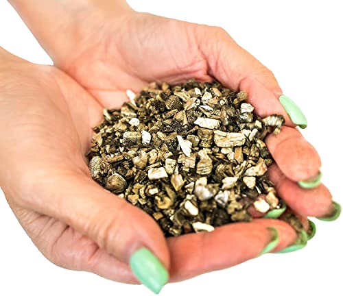 Horticultural Organic Vermiculite by GARDENERA - (Made in Ukraine) - Medium Grade - Natural Soil Additive for Potted Plants, Orchids, Hydroponics, Terrariums (1 Quart) - color: VERMICULITE, size: 1 Quart