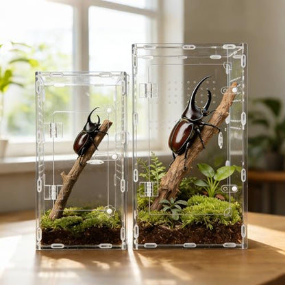 Acrylic Jumping Spider Enclosure, Transparent Reptile Terrarium Enclosure, Small Reptiles Habitat Tank Breeding Box for Tarantula Insect Snake Lizard (13.78 Large) - color: 7.87×7.87×13.78