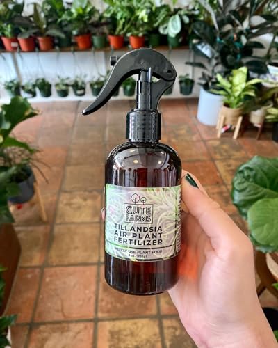 Cute Farms Tillandsia Air Plant Fertilizer | Gentle Weekly Use Formula Plant Food | Formulated Nutrients for Air Plants (8 oz. Spray Bottle) - size: 8 oz