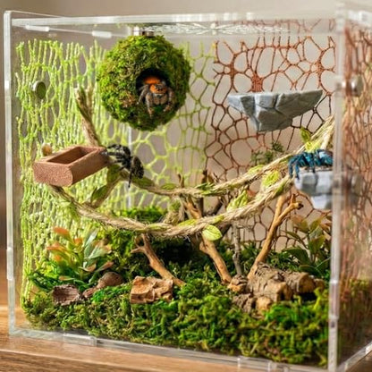 Jumping Spider Enclosure Accessories Kit - Magnetic Moss Ball Hideout, 2 Rock Ledges, Feeding Bowl, Climbing Mesh Nets & Rope Ladder - Natural Forest Habitat Decor for Regal (Moss Cave) - size: Moss Cave without Rope