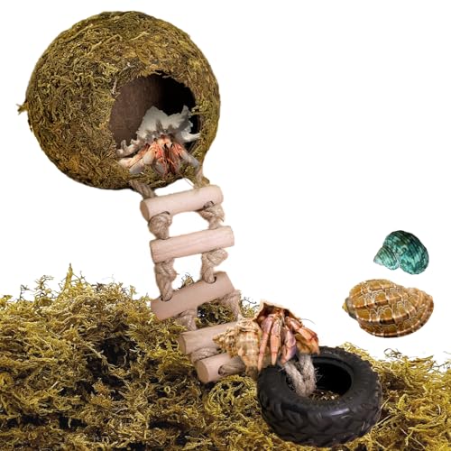 Hermit Crab Moss Coconut Shell Hideout with Climb Ladder,Leopard Gecko Hide Hut with Moss and Sea Shells,Hermit Crab Climbing Tank Accessories for Crested Gecko,Reptiles