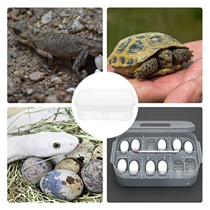 3pcs Box Container Hatching Reptile Lizards Lizard Breeding Snake for Tray Gecko Hatchery Feeding Hatcher Transparent Reptiles Eggs -Layer Grids Incubation Drawer Incubator