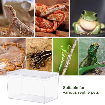 Tarantula Enclosure Spider Terrarium Hermit Crab Tank Starter Kit | Escape Proof PC Reptile Habitat 10.2" x 5.9" x 5.7" Full View for Isopods Bug Insect Frog Gecko - size: M-Starter Kit