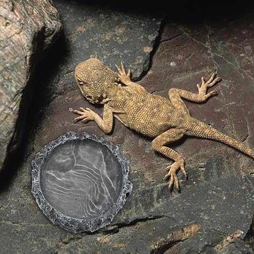 2Pack Reptile Water Dish Food Bowl with Tongs&Shovel,Reptile Feeding Dish-Corner Bowl,Terrarium Water Dish-Feeding Bowl for Bearded Dragon Lizard Frog Gecko Tortoise Hermit Crab