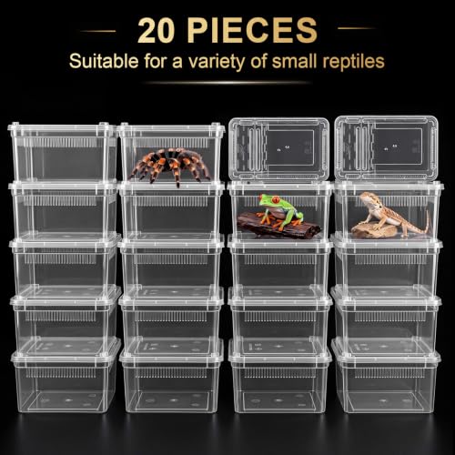 Irenare 20 Pcs Reptile Breeding Box Plastic Spider Enclosure Tarantula Feeding Box for Small Reptile Acrylic Carrier for Mantises Hermit Crabs Small Pet(8.66 x 5.12 x 3.15 Inch, with Basking Platform) - size: 8.66 x 5.12 x 3.15 Inch, style: with Basking P
