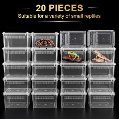 Irenare 20 Pcs Reptile Breeding Box Plastic Spider Enclosure Tarantula Feeding Box for Small Reptile Acrylic Carrier for Mantises Hermit Crabs Small Pet(8.66 x 5.12 x 3.15 Inch, with Basking Platform) - size: 8.66 x 5.12 x 3.15 Inch, style: with Basking P