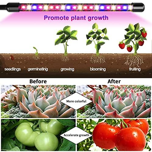 Grow Lights for Indoor Plants, 2 Heads Clip On Plant Light, 40 LEDs | RedBlue Plant Light, Timer 6/12/16Hrs, 3 Spectrums, 5 Dimmable Levels, Flexible Gooseneck - size: (1 Pack)2 Arms