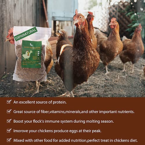 Non-GMO High-Protein Large Dried Mealworms for Chickens, Natural Grubs and Poultry Treats as Chicken Feed,Duck Food, Wild Birds Seed,Fish Food,Reptile Food,Amphibian Food(Mealworms-22LB)