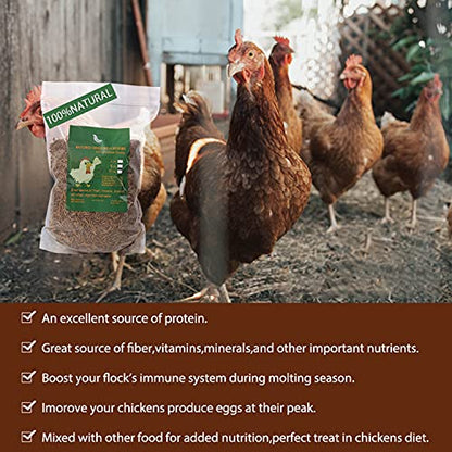 Non-GMO High-Protein Large Dried Mealworms for Chickens, Natural Grubs and Poultry Treats as Chicken Feed,Duck Food, Wild Birds Seed,Fish Food,Reptile Food,Amphibian Food(Mealworms-22LB)