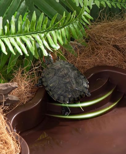 Turtle Bathing Pool, Reptile Feeding Dish Water Pot,Turtle Bathing Pot | Landscape Fish Tank Decoration - color: Reddish Brown