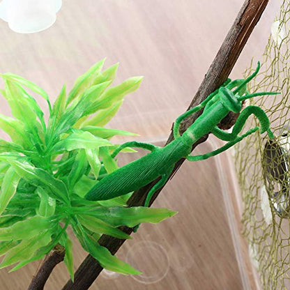 Ventilated Mantis Insect Habitat Kit, 6.2 x 6.2 x 7 in | 1.16 US Gal Bug Catcher Cage for Caterpillar, Cricket and Small Insects, Multi-Side Airflow, Animals Not Included