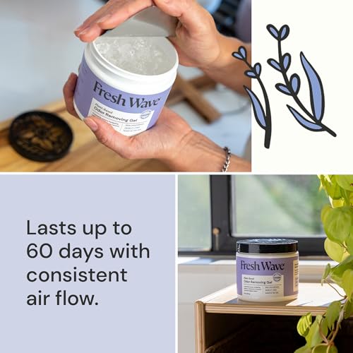 Fresh Wave Lavender Odor Eliminator Gel 2Pk 15 oz - Air Freshener for Home | Lasts 30-60 days. Plant-based odor absorber. No perfumes or harsh chemicals. Bathroom & closet deoderizer. Refills available. - size: 15 Fl Oz (Pack of 2)