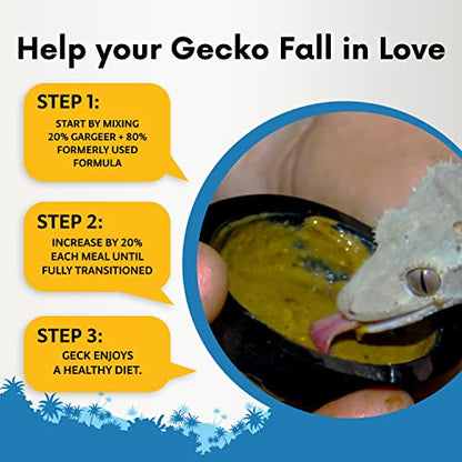 Gargeer 2oz Gentle Geck Mango Diet - Crested Gecko Food. Made in USA | Drive picky geckos wild! A irresistible organic mango superfood blend loaded with gut-safe probiotics and antioxidants - size: 2 Ounce (Pack of 1)