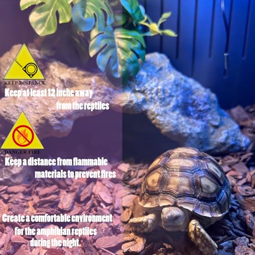 Reptile Heat Lamp 75W, Night Heat Bulb Simulate Nature Moonlight Purple Bulbs, Amphibians Basking Spot Light Bulb for Bearded Dragon, Gecko, Snake, Lizard and Turtle, E26 Base, 2 Pack
