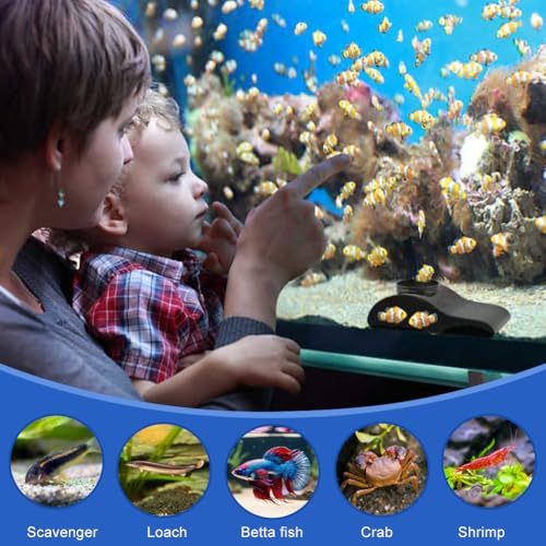 Aquarium Decor, Shrimp Dome Hide & Habitat, Aquarium Tunnel Cave, Natural Curve Underground Hideout for Shrimp, Guppy, Fish Tank Decor & Viewing Accessories