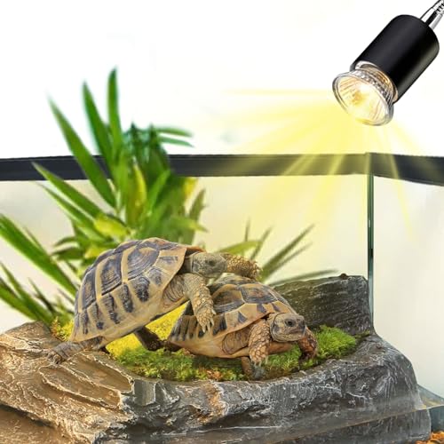 Reptile Heat Lamp,UVA UVB Reptile Light with 360°Rotatable Hose and Timed with 2 Bulbs(25W,50W),Basking Calcium Light Heat Lamp Bulbs for Turtle,Bearded Dragon,Lizard,Snake Tank(Black) - color: Black