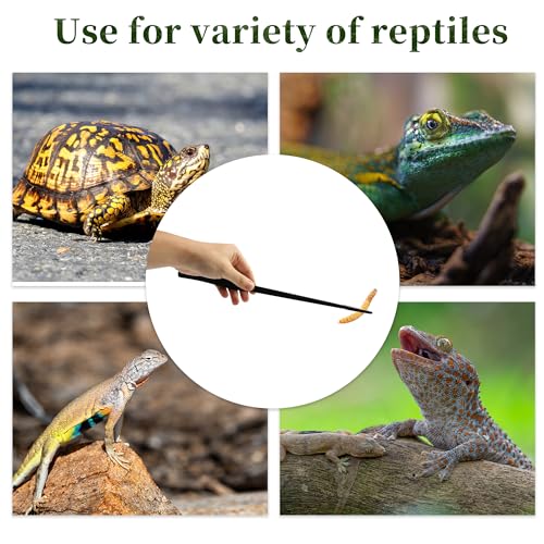Reptile Feeding Tongs, Stainless Steel Lizard Feeding Tongs, Aquarium Straight Feeding Tweezers for Reptiles with Rubber Tip, Terrarium Feeding Tong for Gecko, 14.96" Length, Black - size: 14.96"