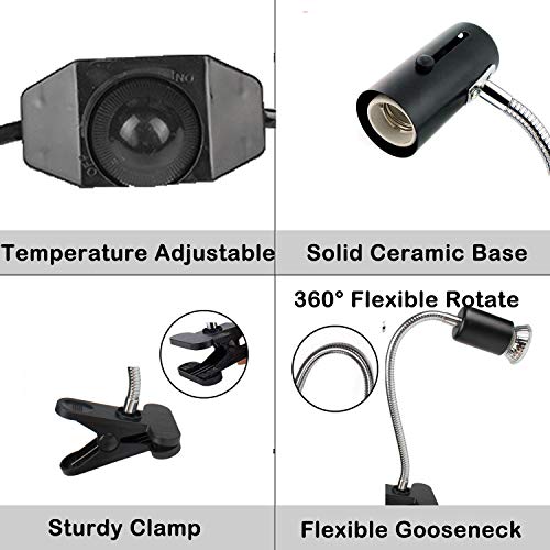 75W Reptile Heat Lamp, Turtle Heating Light UVA UVB Temperature Adjustable 360°Rotatable Clip Basking Lamp for Amphibian Reptile Turtle Lizard Snake (Heat Light with 2pcs 75W Bulb) - size: Heat light with 2pcs 75W Bulb