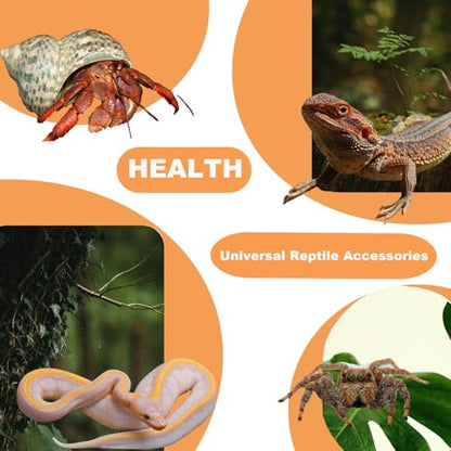 TEICCI Bearded Dragon Tank Accessories Set,10-Piece Kit Leopard Gecko Tank Accessories with Bearded Dragon Hammock, Large Reptile Bridge Hammock,Decor Suitable for Lizards, Geckos, and Chameleons