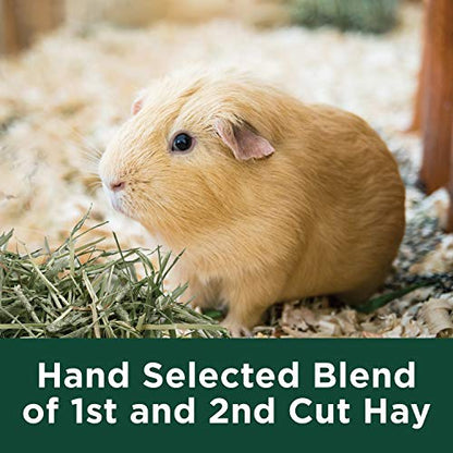 Kaytee All Natural Timothy Hay Plus Marigolds for Guinea Pigs, Rabbits & Other Small Animals, 24 Ounce (Pack of 2) - size: 1.5 Pound (Pack of 2)