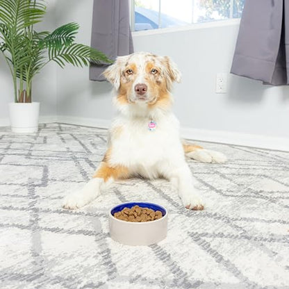 SPOT by Ethical Products – Ceramic Stoneware Pet Bowl for Cats and Small Dogs,Classic Heavy Duty Non Slip Ceramic Cat Dish Dog Bowls for Food and Water - size: 5"